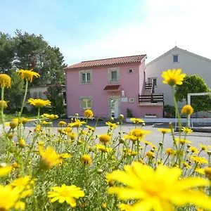 Dent Bibinje